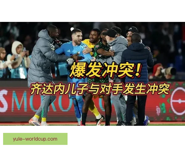 非足联将审议非洲杯决赛冲突处罚措施