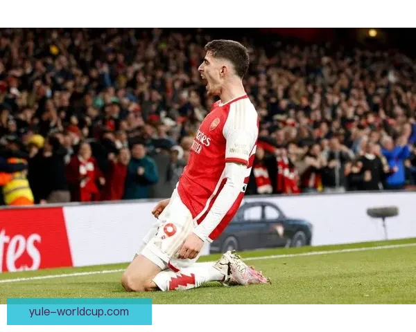 厄德高哈弗茨或战德比怀特无碍